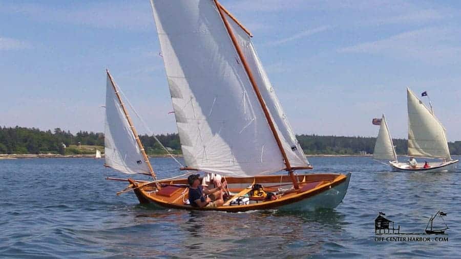 sooty tern sailboat